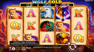 신비한 세계의 탐험 Wolf Gold 신비한 세계의 탐험 Wolf Gold